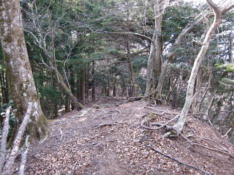 20200204hike (288)